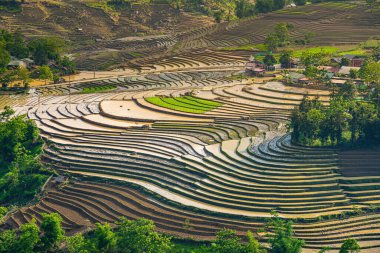 Sang Ma Sao, Y Ty, Lao Cai, Vietnam 'daki pirinç teraslarının hava görüntüleri. Vietnam manzarası, Sang Ma Sao 'nun pirinç tarlaları. Muhteşem pirinç tarlaları. Dikilmiş panorama çekimi
