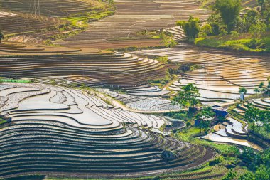 Sang Ma Sao, Y Ty, Lao Cai, Vietnam 'daki pirinç teraslarının hava görüntüleri. Vietnam manzarası, Sang Ma Sao 'nun pirinç tarlaları. Muhteşem pirinç tarlaları. Dikilmiş panorama çekimi