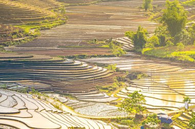 Sang Ma Sao, Y Ty, Lao Cai, Vietnam 'daki pirinç teraslarının hava görüntüleri. Vietnam manzarası, Sang Ma Sao 'nun pirinç tarlaları. Muhteşem pirinç tarlaları. Dikilmiş panorama çekimi