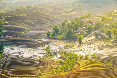 Sang Ma Sao, Y Ty, Lao Cai, Vietnam 'daki pirinç teraslarının hava görüntüleri. Vietnam manzarası, Sang Ma Sao 'nun pirinç tarlaları. Muhteşem pirinç tarlaları. Dikilmiş panorama çekimi