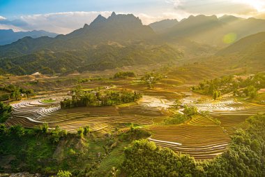 Sang Ma Sao, Y Ty, Lao Cai, Vietnam 'daki pirinç teraslarının hava görüntüleri. Vietnam manzarası, Sang Ma Sao 'nun pirinç tarlaları. Muhteşem pirinç tarlaları. Dikilmiş panorama çekimi