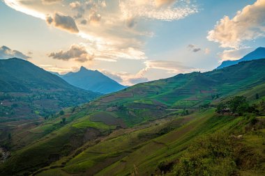 Sang Ma Sao, Y Ty, Lao Cai, Vietnam 'daki pirinç teraslarının hava görüntüleri. Vietnam manzarası, Sang Ma Sao 'nun pirinç tarlaları. Muhteşem pirinç tarlaları. Dikilmiş panorama çekimi