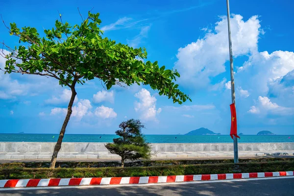 베트남 해안선 지대를 이어지는 도로가 베트남 남부의 목적지중 — 스톡 사진