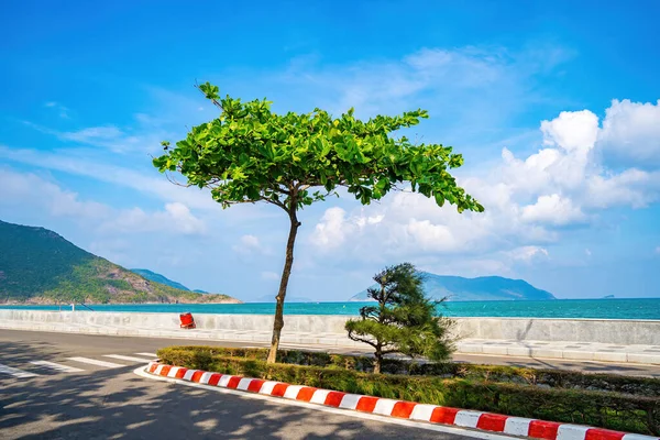 ベトナムのコンダオ島の海岸線の山々に沿ってつながる有名な道路 コンダオ島は 南ベトナムで有名な目的地の一つです — ストック写真