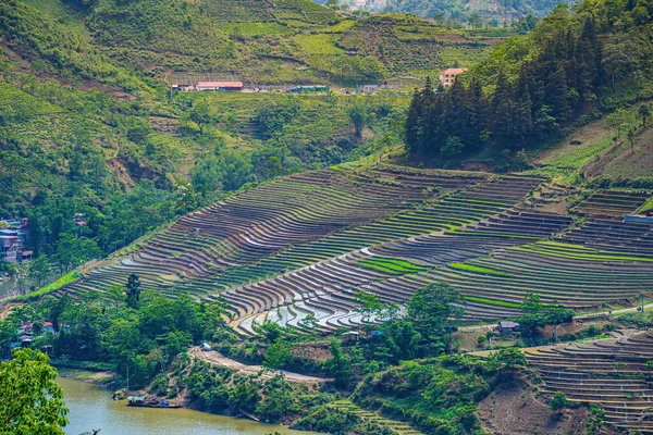 Flygfoto Ris Terrasser Muong Hum Lao Cai Provinsen Vietnam Landskap — Stockfoto