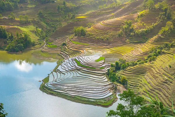 Muong Hum, Y Ty, Lao Cai, Vietnam 'daki pirinç teraslarının hava görüntüsü. Vietnam 'ın manzara manzarası, Muong Hum' un kalbi pirinç tarlaları. Muhteşem pirinç tarlaları. Dikilmiş panorama çekimi
