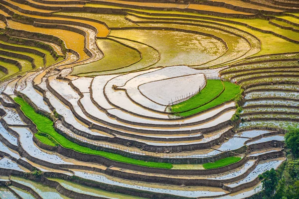 stock image Aerial image of rice terraces in Muong Hum, Y Ty, Lao Cai province, Vietnam. Landscape panorama of Vietnam, terraced rice fields Heart of Muong Hum. Spectacular rice fields. Stitched panorama shot