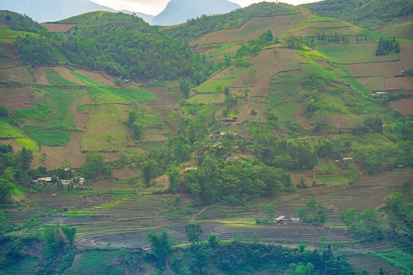 Luftbild Von Reisterrassen Muong Hum Provinz Lao Cai Vietnam Landschaftspanorama — Stockfoto