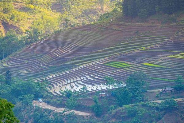 Luftbild Von Reisterrassen Muong Hum Provinz Lao Cai Vietnam Landschaftspanorama — Stockfoto