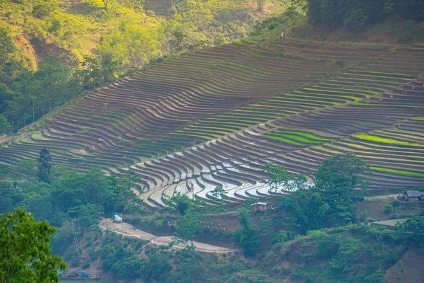 공중에서 계단식 모습입니다 베트남의 지방의 계단식논 베트남의 파노라마 계단식논 봉오리의 — 스톡 사진