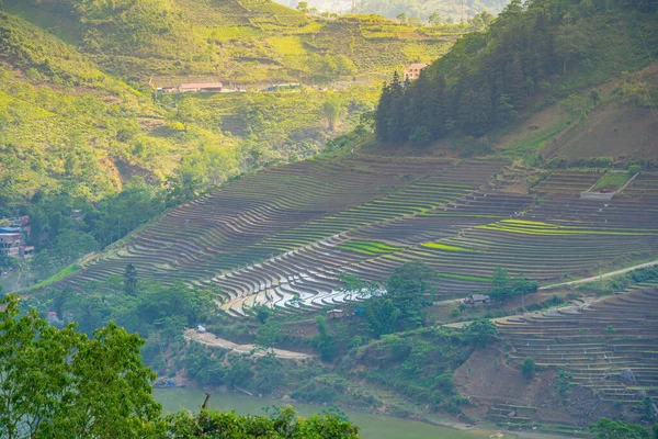 越南老开省Y Ty的Muong Hum稻田的空中图像 越南的全景全景 梯田木香心田 壮观的稻田片片全景拍摄 — 图库照片