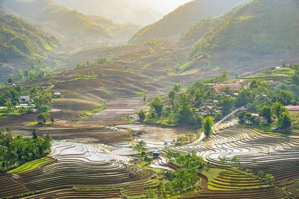 Luftbild Von Reisterrassen Sang Sao Provinz Lao Cai Vietnam Landschaftspanorama — Stockfoto