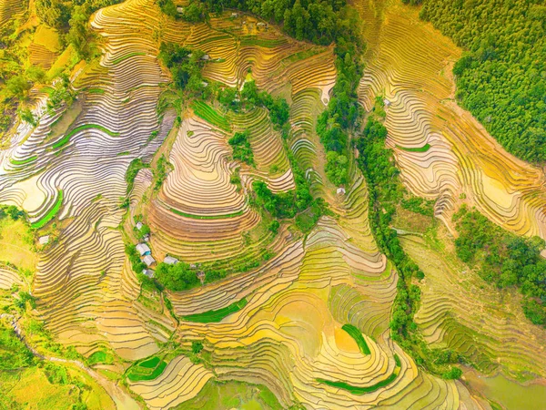 Immagine Aerea Terrazze Riso Muong Hum Provincia Lao Cai Vietnam — Foto Stock