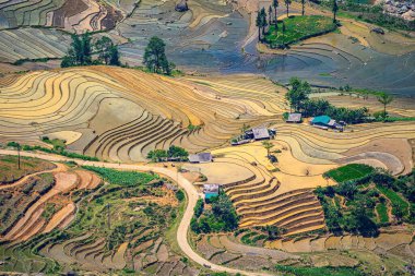 Thien Sinh Vadisi, Y Ty, Lao Cai, Vietnam 'daki pirinç teraslarının hava görüntüsü. Vietnam manzarası, Thien Sinh 'in pirinç tarlaları. Muhteşem pirinç tarlaları. Dikilmiş panorama çekimi