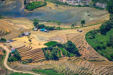 Thien Sinh Vadisi, Y Ty, Lao Cai, Vietnam 'daki pirinç teraslarının hava görüntüsü. Vietnam manzarası, Thien Sinh 'in pirinç tarlaları. Muhteşem pirinç tarlaları. Dikilmiş panorama çekimi
