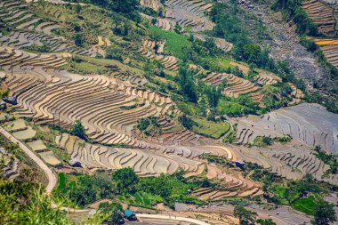 Thien Sinh Vadisi, Y Ty, Lao Cai, Vietnam 'daki pirinç teraslarının hava görüntüsü. Vietnam manzarası, Thien Sinh 'in pirinç tarlaları. Muhteşem pirinç tarlaları. Dikilmiş panorama çekimi