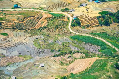 Thien Sinh Vadisi, Y Ty, Lao Cai, Vietnam 'daki pirinç teraslarının hava görüntüsü. Vietnam manzarası, Thien Sinh 'in pirinç tarlaları. Muhteşem pirinç tarlaları. Dikilmiş panorama çekimi