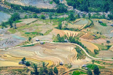 Thien Sinh Vadisi, Y Ty, Lao Cai, Vietnam 'daki pirinç teraslarının hava görüntüsü. Vietnam manzarası, Thien Sinh 'in pirinç tarlaları. Muhteşem pirinç tarlaları. Dikilmiş panorama çekimi