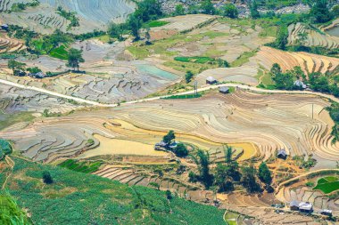 Thien Sinh Vadisi, Y Ty, Lao Cai, Vietnam 'daki pirinç teraslarının hava görüntüsü. Vietnam manzarası, Thien Sinh 'in pirinç tarlaları. Muhteşem pirinç tarlaları. Dikilmiş panorama çekimi