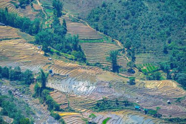 Thien Sinh Vadisi, Y Ty, Lao Cai, Vietnam 'daki pirinç teraslarının hava görüntüsü. Vietnam manzarası, Thien Sinh 'in pirinç tarlaları. Muhteşem pirinç tarlaları. Dikilmiş panorama çekimi