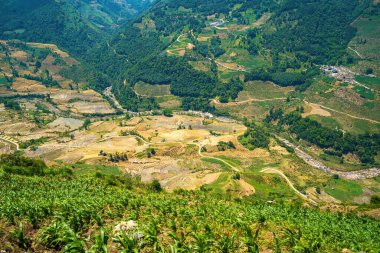 Thien Sinh Vadisi, Y Ty, Lao Cai, Vietnam 'daki pirinç teraslarının hava görüntüsü. Vietnam manzarası, Thien Sinh 'in pirinç tarlaları. Muhteşem pirinç tarlaları. Dikilmiş panorama çekimi