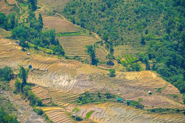 Thien Sinh Vadisi, Y Ty, Lao Cai, Vietnam 'daki pirinç teraslarının hava görüntüsü. Vietnam manzarası, Thien Sinh 'in pirinç tarlaları. Muhteşem pirinç tarlaları. Dikilmiş panorama çekimi