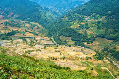 Thien Sinh Vadisi, Y Ty, Lao Cai, Vietnam 'daki pirinç teraslarının hava görüntüsü. Vietnam manzarası, Thien Sinh 'in pirinç tarlaları. Muhteşem pirinç tarlaları. Dikilmiş panorama çekimi
