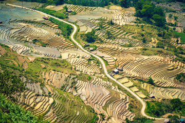 Thien Sinh Vadisi, Y Ty, Lao Cai, Vietnam 'daki pirinç teraslarının hava görüntüsü. Vietnam manzarası, Thien Sinh 'in pirinç tarlaları. Muhteşem pirinç tarlaları. Dikilmiş panorama çekimi