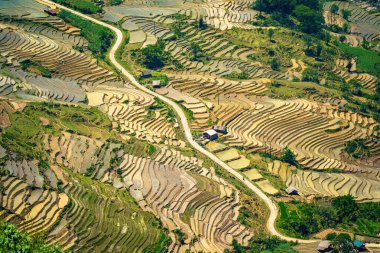 Thien Sinh Vadisi, Y Ty, Lao Cai, Vietnam 'daki pirinç teraslarının hava görüntüsü. Vietnam manzarası, Thien Sinh 'in pirinç tarlaları. Muhteşem pirinç tarlaları. Dikilmiş panorama çekimi