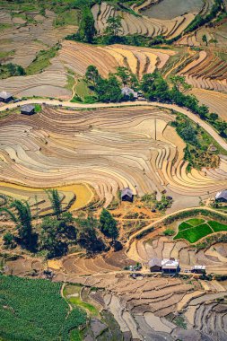 Thien Sinh Vadisi, Y Ty, Lao Cai, Vietnam 'daki pirinç teraslarının hava görüntüsü. Vietnam manzarası, Thien Sinh 'in pirinç tarlaları. Muhteşem pirinç tarlaları. Dikilmiş panorama çekimi