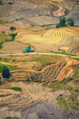 Thien Sinh Vadisi, Y Ty, Lao Cai, Vietnam 'daki pirinç teraslarının hava görüntüsü. Vietnam manzarası, Thien Sinh 'in pirinç tarlaları. Muhteşem pirinç tarlaları. Dikilmiş panorama çekimi