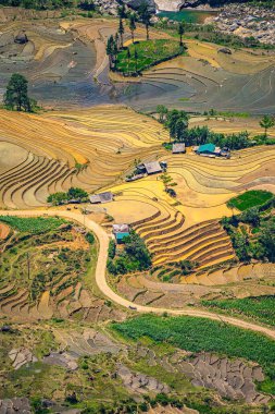 Thien Sinh Vadisi, Y Ty, Lao Cai, Vietnam 'daki pirinç teraslarının hava görüntüsü. Vietnam manzarası, Thien Sinh 'in pirinç tarlaları. Muhteşem pirinç tarlaları. Dikilmiş panorama çekimi