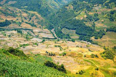 Thien Sinh Vadisi, Y Ty, Lao Cai, Vietnam 'daki pirinç teraslarının hava görüntüsü. Vietnam manzarası, Thien Sinh 'in pirinç tarlaları. Muhteşem pirinç tarlaları. Dikilmiş panorama çekimi