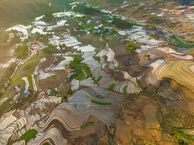 Ngai Thau, Y Ty, Lao Cai, Vietnam 'daki pirinç teraslarının hava görüntüsü. Vietnam 'ın manzara manzarası, Ngai Thau' nun pirinç tarlaları. Muhteşem pirinç tarlaları. Dikilmiş panorama çekimi