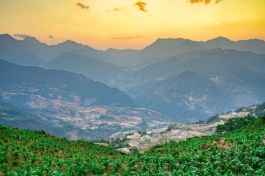 Ngai Thau, Y Ty, Lao Cai, Vietnam 'daki pirinç teraslarının hava görüntüsü. Vietnam 'ın manzara manzarası, Ngai Thau' nun pirinç tarlaları. Muhteşem pirinç tarlaları. Dikilmiş panorama çekimi