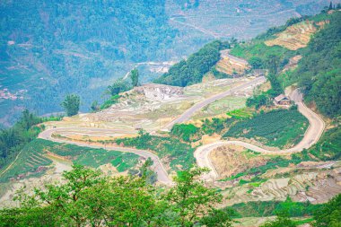 Ngai Thau, Y Ty, Lao Cai, Vietnam 'daki pirinç teraslarının hava görüntüsü. Vietnam 'ın manzara manzarası, Ngai Thau' nun pirinç tarlaları. Muhteşem pirinç tarlaları. Dikilmiş panorama çekimi