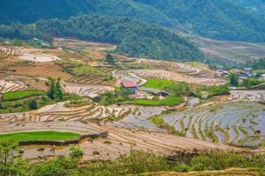Ngai Thau, Y Ty, Lao Cai, Vietnam 'daki pirinç teraslarının hava görüntüsü. Vietnam 'ın manzara manzarası, Ngai Thau' nun pirinç tarlaları. Muhteşem pirinç tarlaları. Dikilmiş panorama çekimi