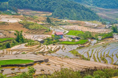 Ngai Thau, Y Ty, Lao Cai, Vietnam 'daki pirinç teraslarının hava görüntüsü. Vietnam 'ın manzara manzarası, Ngai Thau' nun pirinç tarlaları. Muhteşem pirinç tarlaları. Dikilmiş panorama çekimi