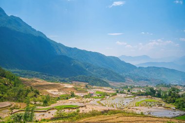Ngai Thau, Y Ty, Lao Cai, Vietnam 'daki pirinç teraslarının hava görüntüsü. Vietnam 'ın manzara manzarası, Ngai Thau' nun pirinç tarlaları. Muhteşem pirinç tarlaları. Dikilmiş panorama çekimi
