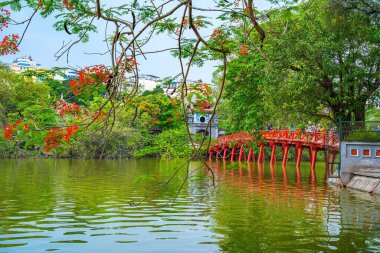 Ha Noi, VIETNAM - Mayıs 08 2023 - Hoan Kiem Gölü 'ndeki Huc Köprüsü, Vietnam' ın başkenti Hanoi 'nin tarihi merkezinde bulunan Hoan Kiem Gölü üzerindeki güzel Phoenix-Çiçeği.