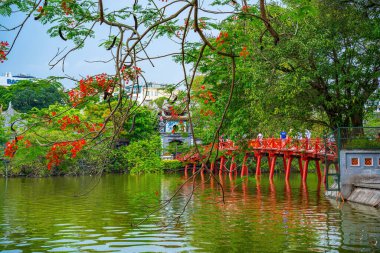 Ha Noi, VIETNAM - Mayıs 08 2023 - Hoan Kiem Gölü 'ndeki Huc Köprüsü, Vietnam' ın başkenti Hanoi 'nin tarihi merkezinde bulunan Hoan Kiem Gölü üzerindeki güzel Phoenix-Çiçeği.