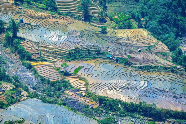 Εναέρια Εικόνα Του Ρυζιού Βεράντες Στο Thien Sinh Κοιλάδα Lao — Φωτογραφία Αρχείου