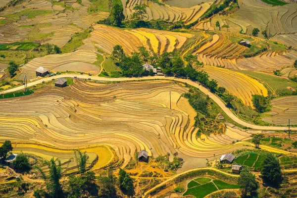 Aerial image of rice terraces in Thien Sinh valley, Y Ty, Lao Cai province, Vietnam. Landscape panorama of Vietnam, terraced rice fields of Thien Sinh. Spectacular rice fields. Stitched panorama shot