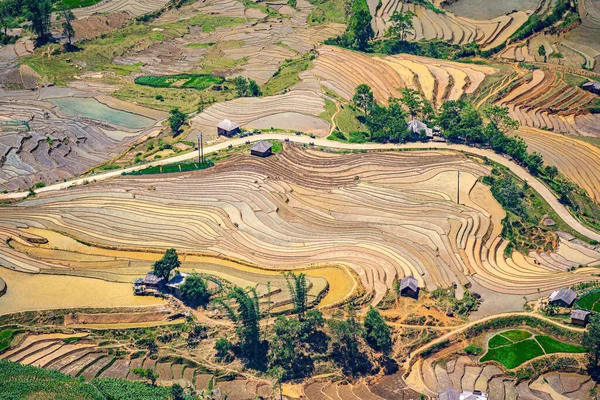 Flygfoto Ris Terrasser Thien Sinh Valley Lao Cai Provinsen Vietnam — Stockfoto