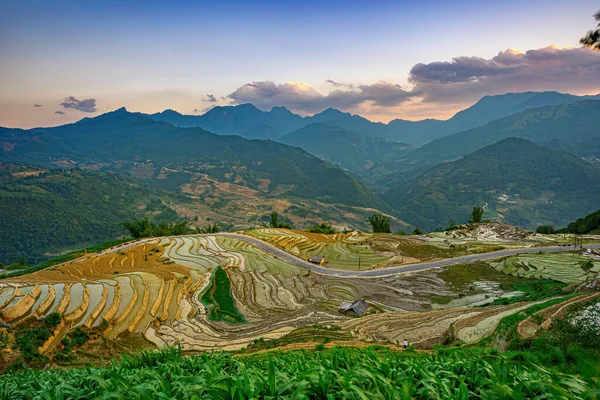 Imagem Aérea Terraços Arroz Ngai Thau Província Lao Cai Vietnã — Fotografia de Stock