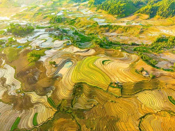 Imagen Aérea Terrazas Arroz Ngai Thau Provincia Lao Cai Vietnam —  Fotos de Stock