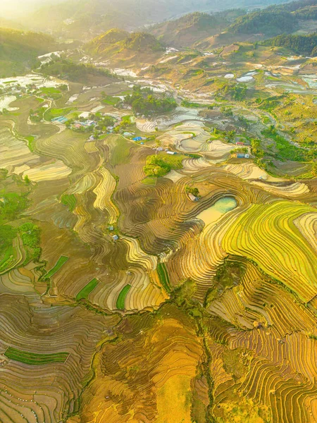 Imagem Aérea Terraços Arroz Ngai Thau Província Lao Cai Vietnã — Fotografia de Stock