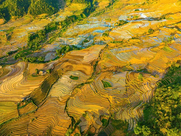 Ngai Thau, Y Ty, Lao Cai, Vietnam 'daki pirinç teraslarının hava görüntüsü. Vietnam 'ın manzara manzarası, Ngai Thau' nun pirinç tarlaları. Muhteşem pirinç tarlaları. Dikilmiş panorama çekimi