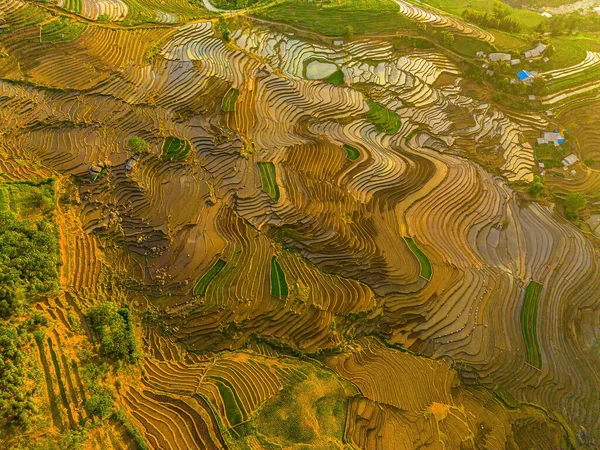 Ngai Thauの棚田の空中画像 ラオス蔡州 ベトナム ベトナムの風景パノラマ ンガイタウの棚田 壮大な水田 パノラマショットをステッチ — ストック写真