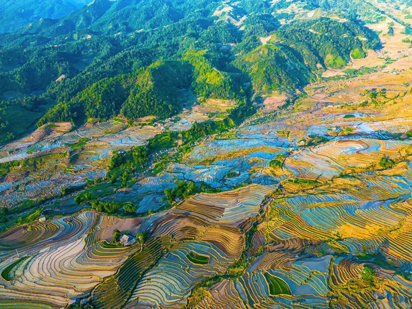 Flygfoto Ris Terrasser Ngai Thau Lao Cai Provinsen Vietnam Landskap — Stockfoto